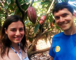 Cacao farming on Oahu