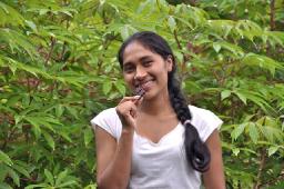 Rainforest Chocolate Tour