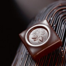 Chocolate Tasting, Evaluation and Education