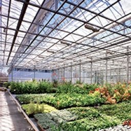 NYBG: The Temptation of Chocolate