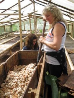 Hands on Chocolate Making Course: Tree to Bar in Mindo, Ecuador