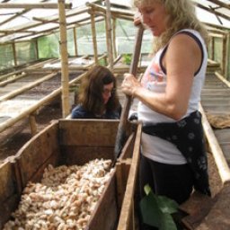 Hands on Chocolate Making Course: Tree to Bar in Mindo, Ecuador