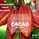 Cacao (1).png