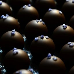 SELEUŠS-Chocolates-B380-Hibiscus-Truffles-0100.jpg