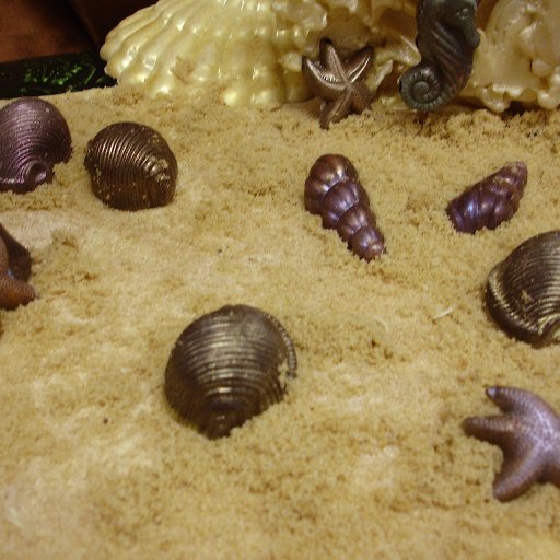 Close up of sand and sea shells