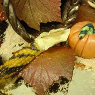 Close up pf Pumpkin, Maze and Leaf