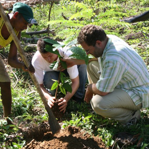 Plantation Nosy Be in Madagascar