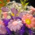 DSC01237