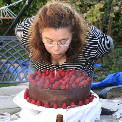 Anke's 12" 10 lb Chocolate/Raspberry Cake