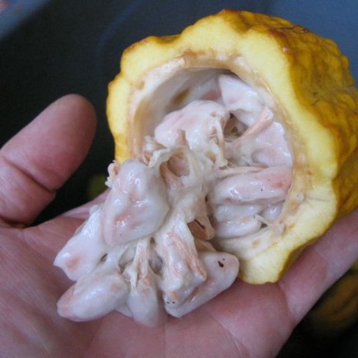 Open pod