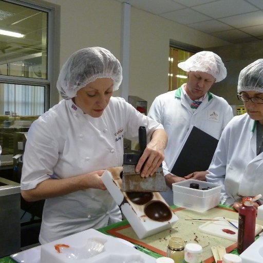 Workshop2- Callebaut UK (13/14-01-2011)