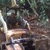 clearing land to plant