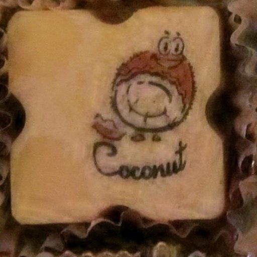 Coconut 001 (297x320)