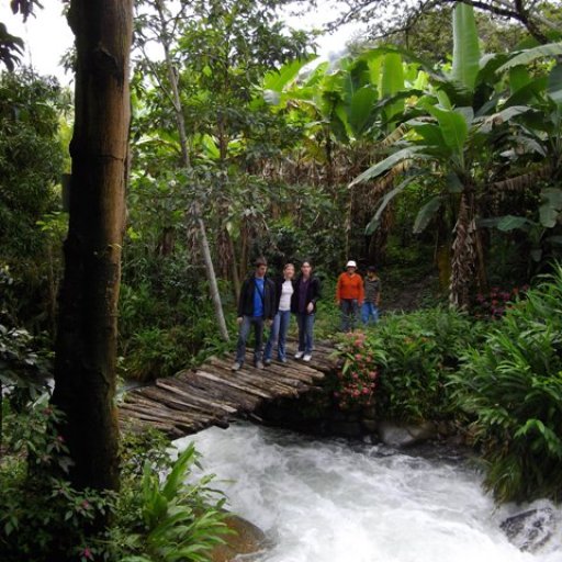 ChocoMuseo Cacao Tours