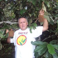Harvesting cupuacu in the Bolivian Amazon