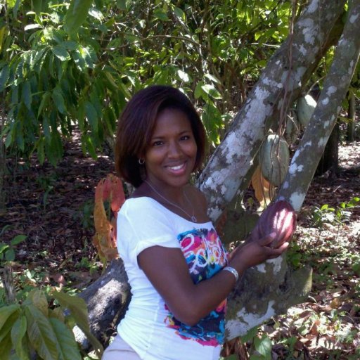 Cacao Plantation, Dominican Republic