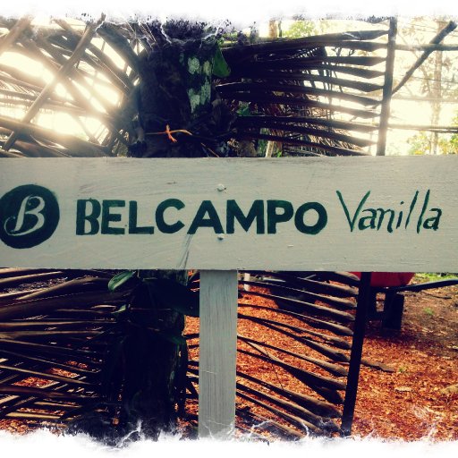 Belcampo Vanilla