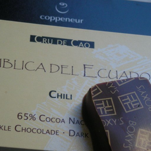 Coppeneur 65% dark Chili & Cru Sauvage Bolivia 38 % - 48 h