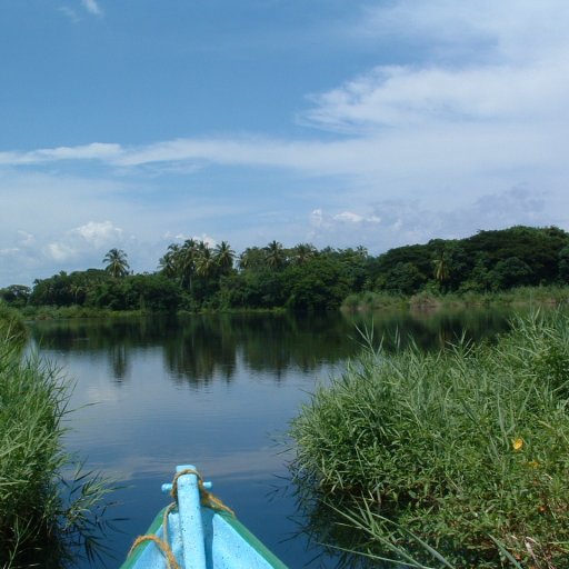 Frangipani Lake Inside La Calera