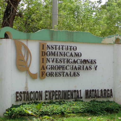 El Instituto Dominicano de Investigaciones Agropecuarias y Forestales (IDIAF)