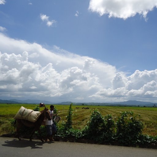 Countryside next to the cacao plantations