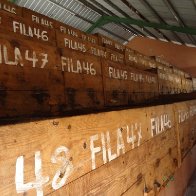 Cacao fermenting boxes