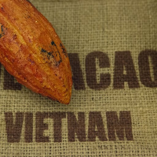 Cacao Vietnam Marou