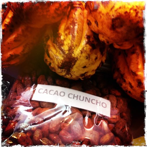 Pod photo - Cacao Chuncho