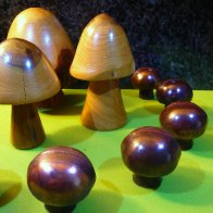 Dark Chocolate Mushrooms