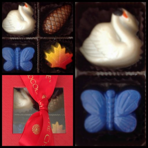 The Chocolaterie Artisan Chocolates