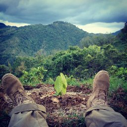 Puerto Rico Cacao