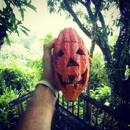 Halloween Cacao Pod