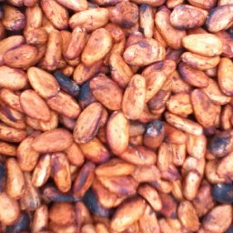 Perfect Cacao beans