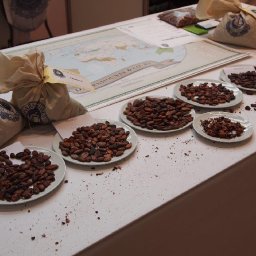 05-Daarnhouwer beans.jpg