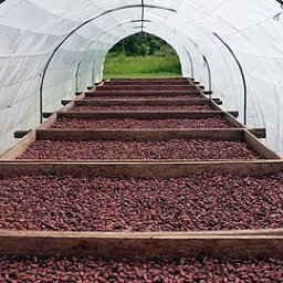 Drying-Tent.jpg